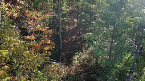 Recreation Land Lot for Cabins
