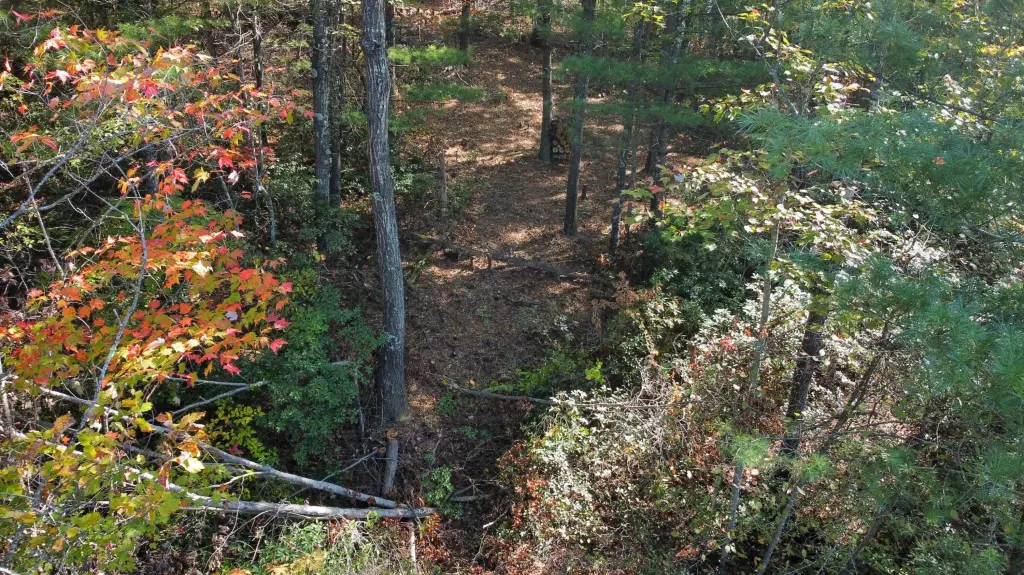 Picture 4