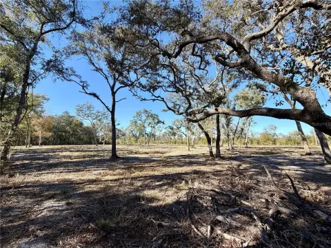 Cleared Land Near Fort McCoy