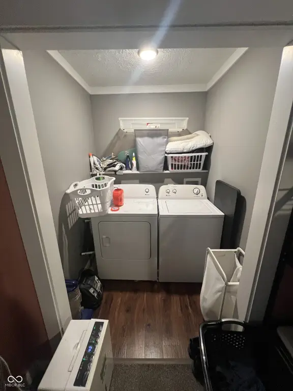 Picture 14