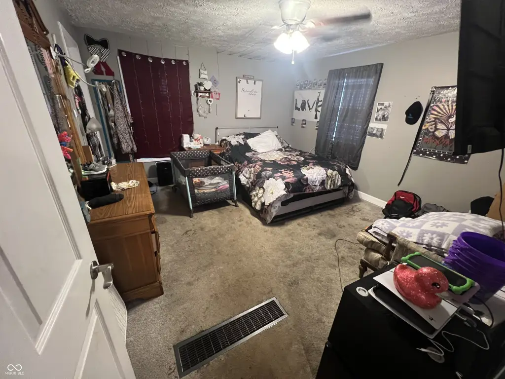 Picture 13