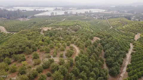 60 Acres Agricultural Land in Somis