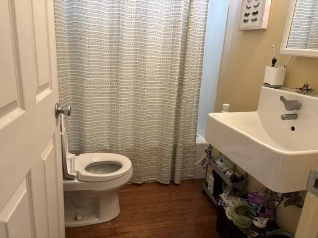 Picture 5