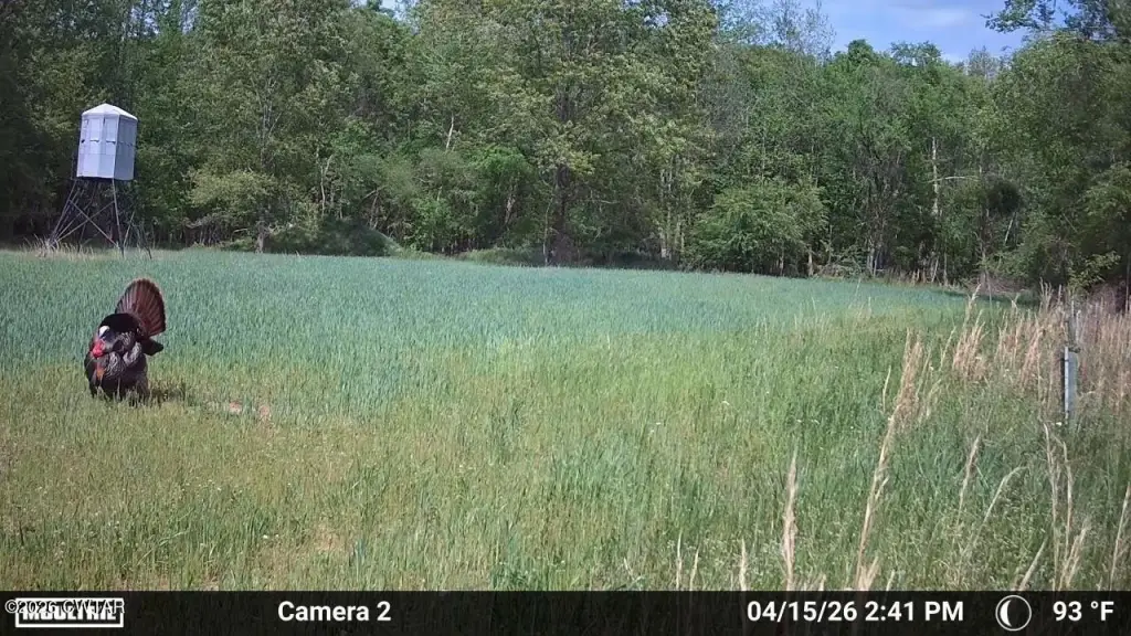 Picture 6