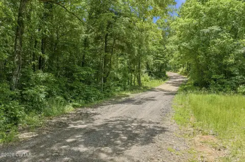 Unrestricted Hunting & Homesite Land