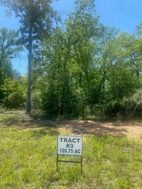 120.75 AC Twin Creeks Ranch