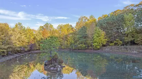 Fort Payne Land with Pond
