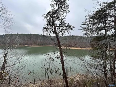 Smith Lake Waterfront Land
