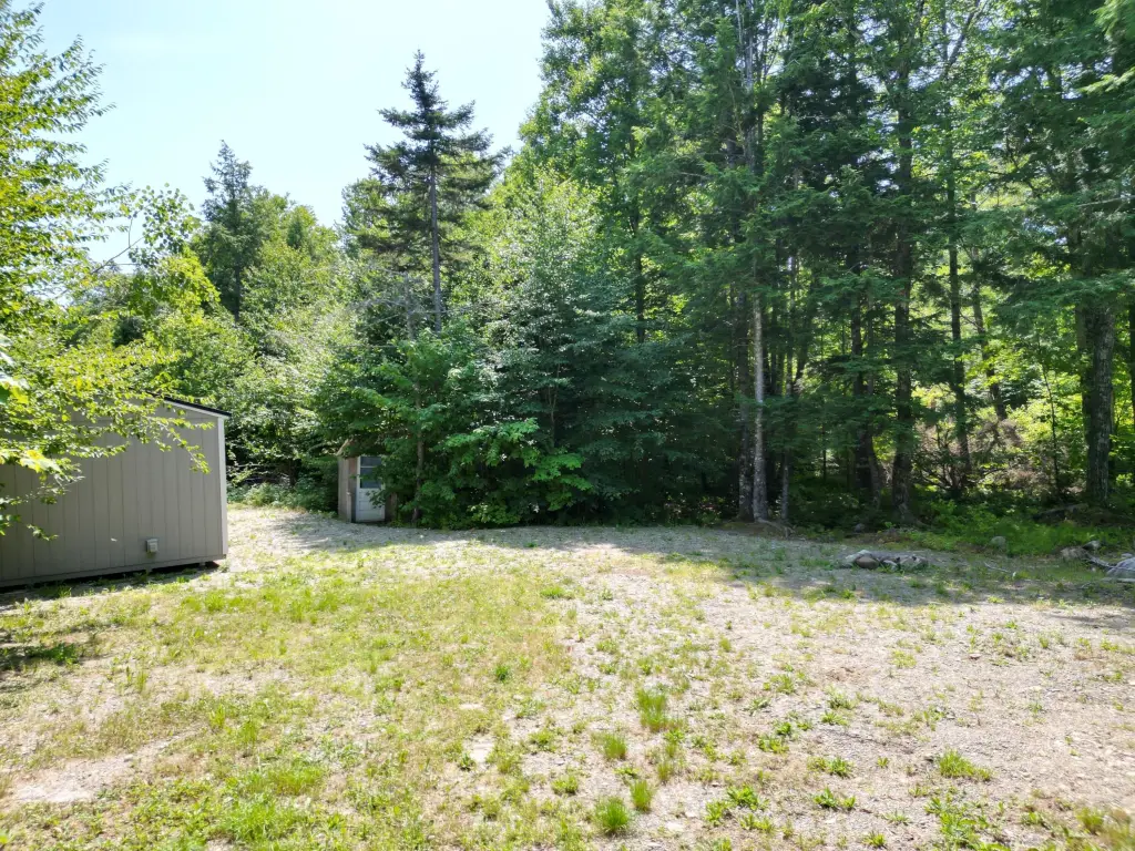 Picture 11