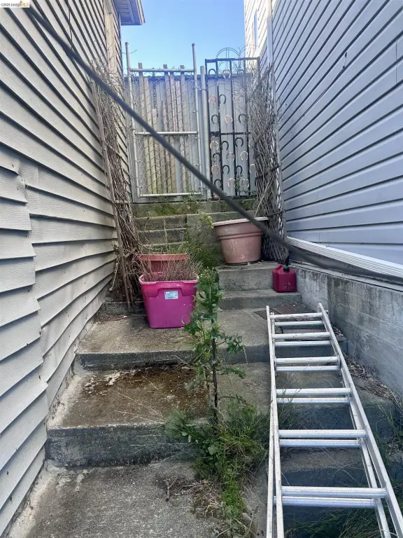Picture 16