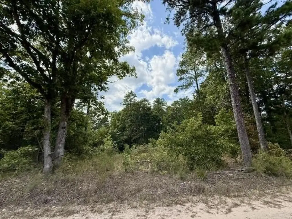Picture 4