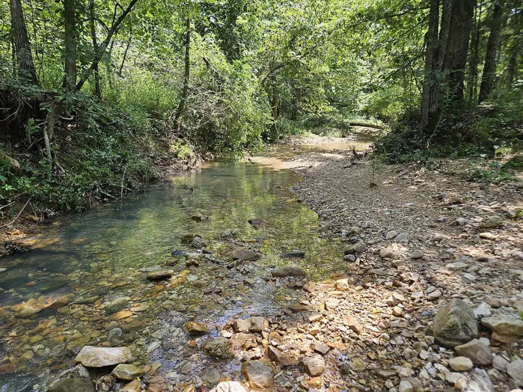 Picture 39