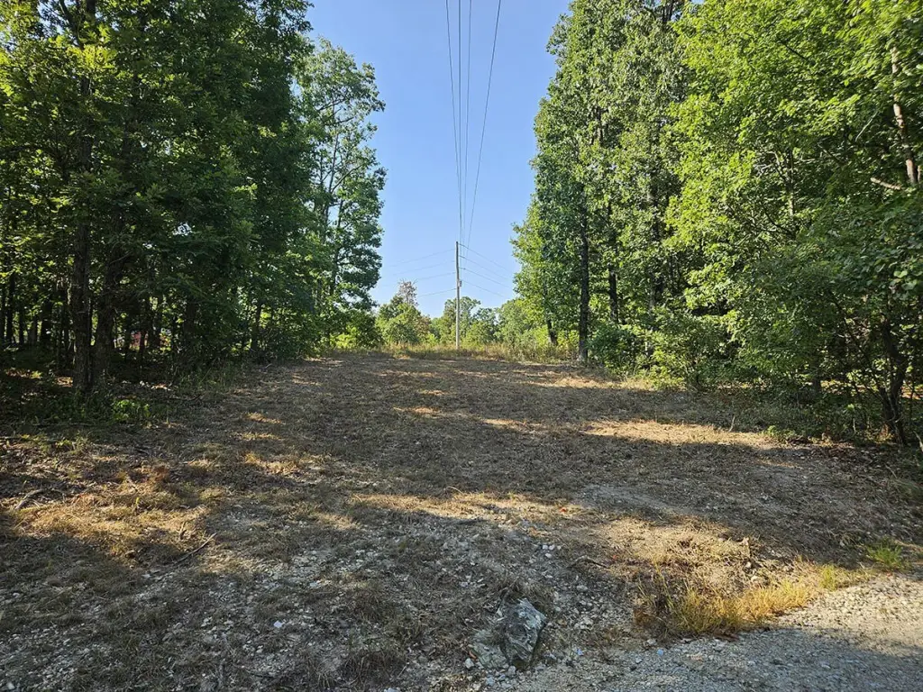 Picture 41