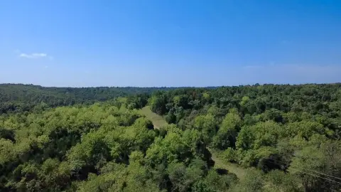 Hunting Land with Electric Access