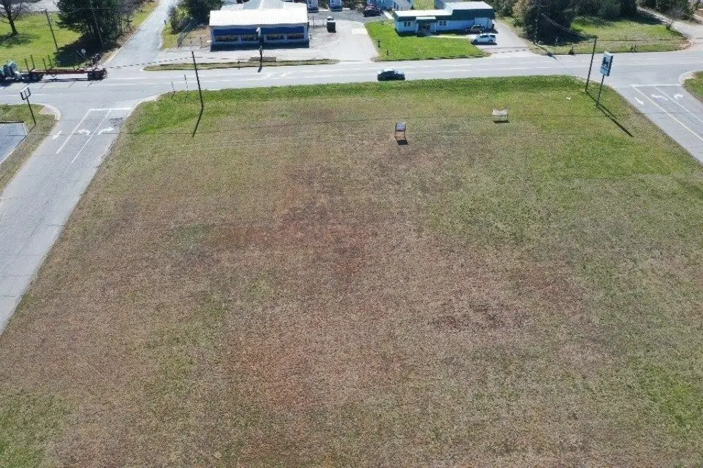 Picture 14