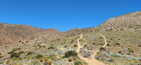 315 Acres in Tehachapi Mountains