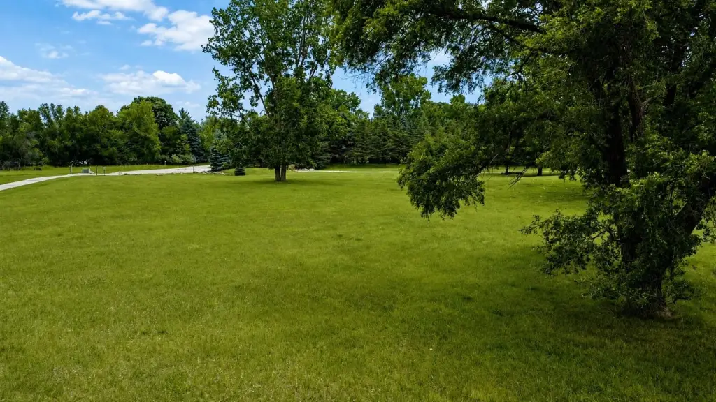 Picture 21