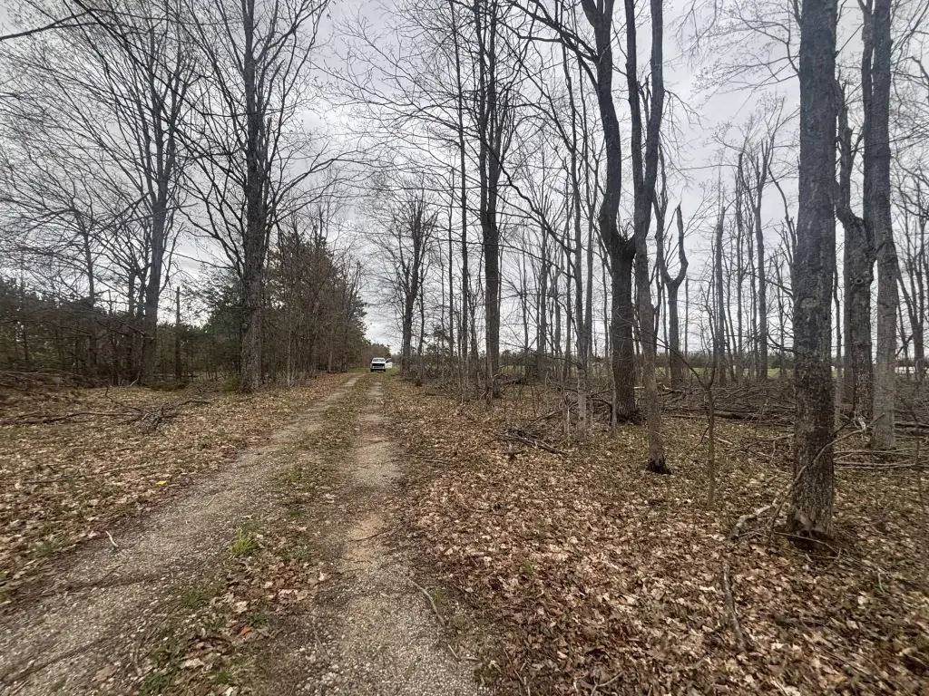 Picture 5