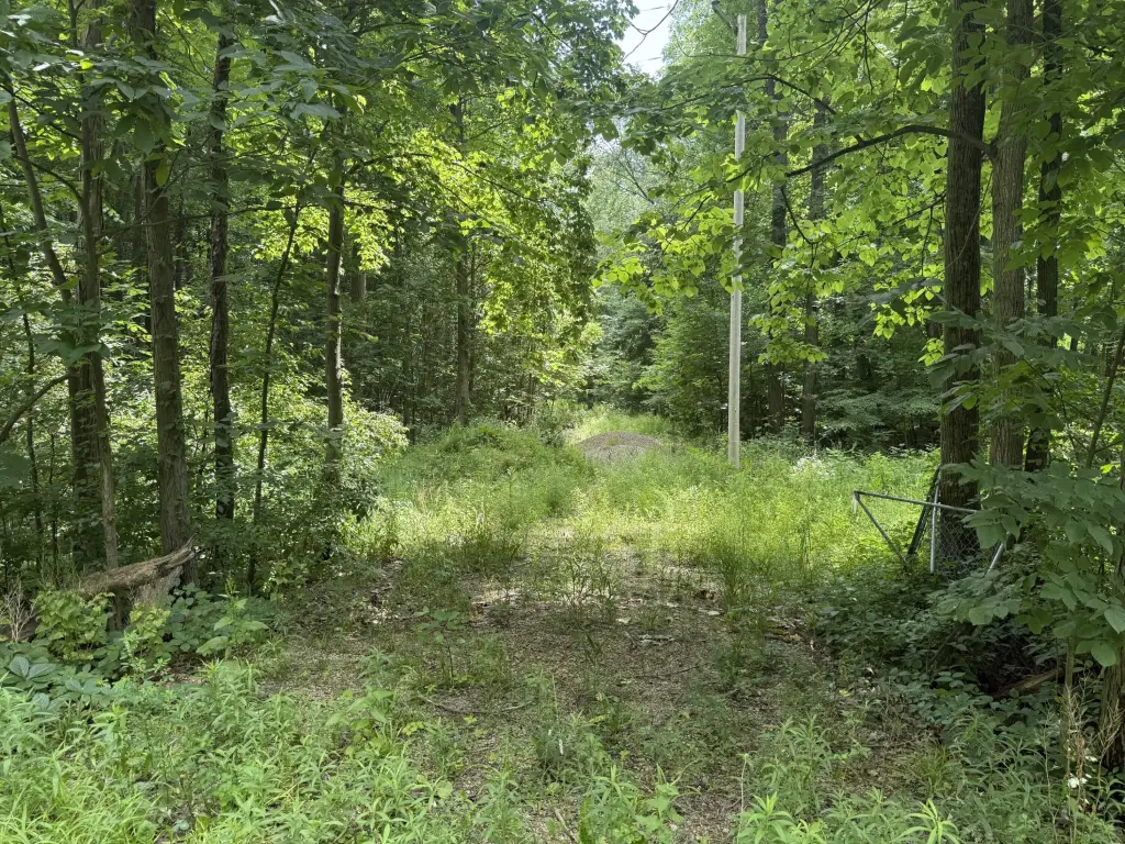 Picture 4