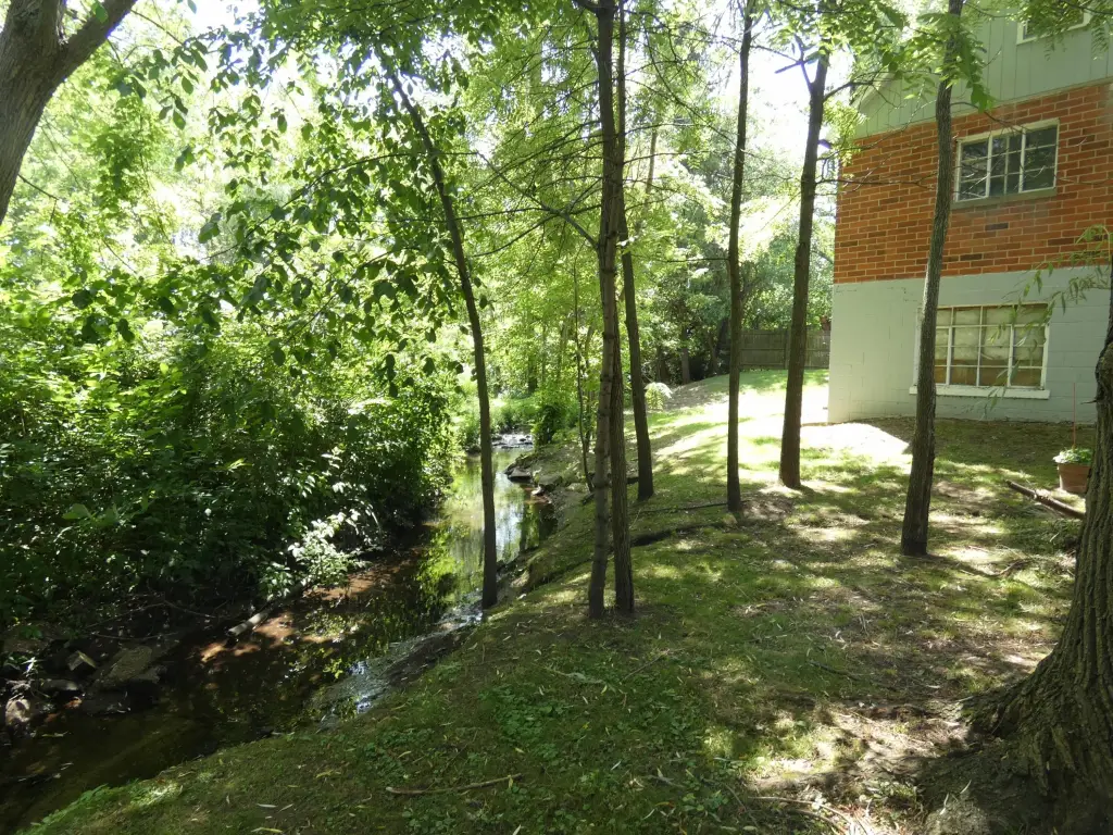 Picture 5
