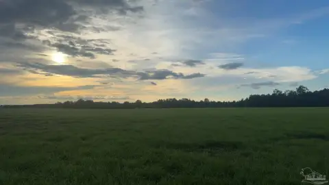 30 Acres of Farmland