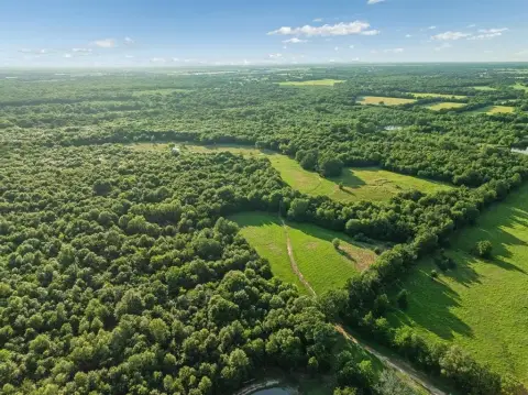 123-Acre Hunting Ranch in Texas