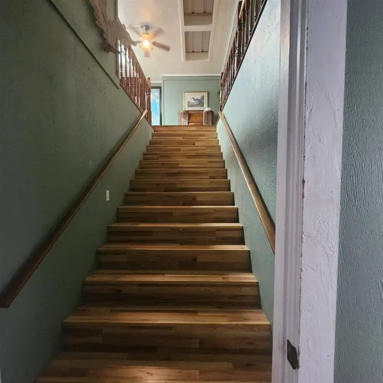 Picture 7