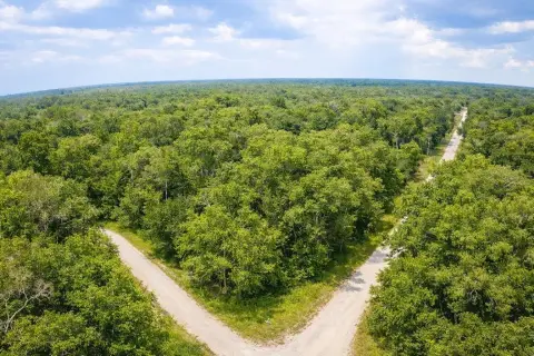 Oversized Homesite in Ridge Manor