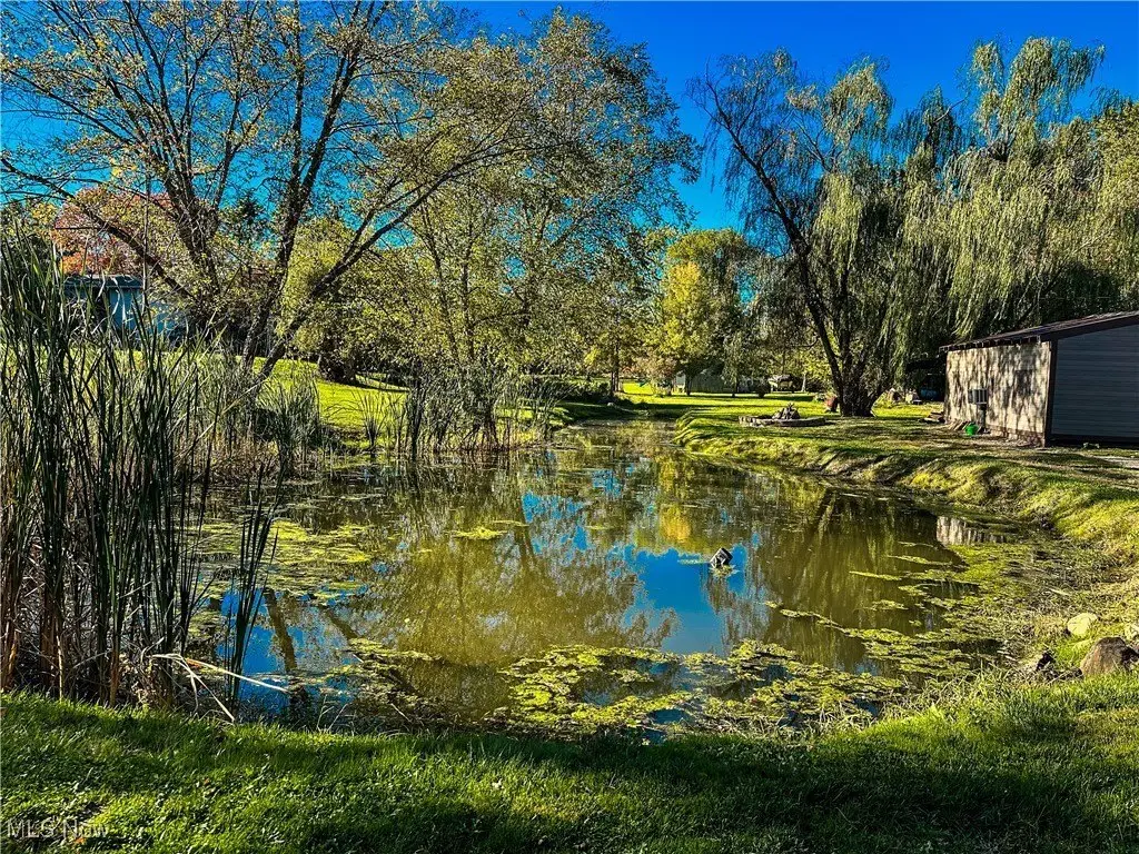 Picture 27