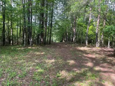 Wooded 3.5 Acre Residential Lot
