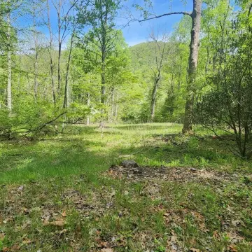 Unrestricted Acreage in Cowee Community
