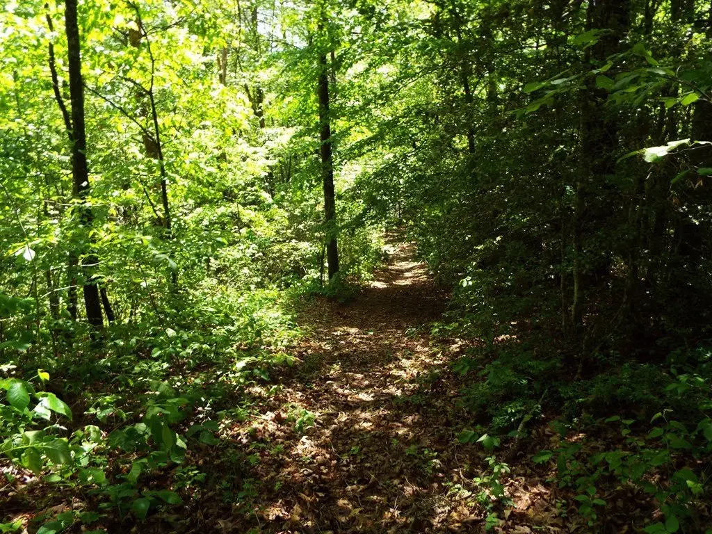 Picture 9