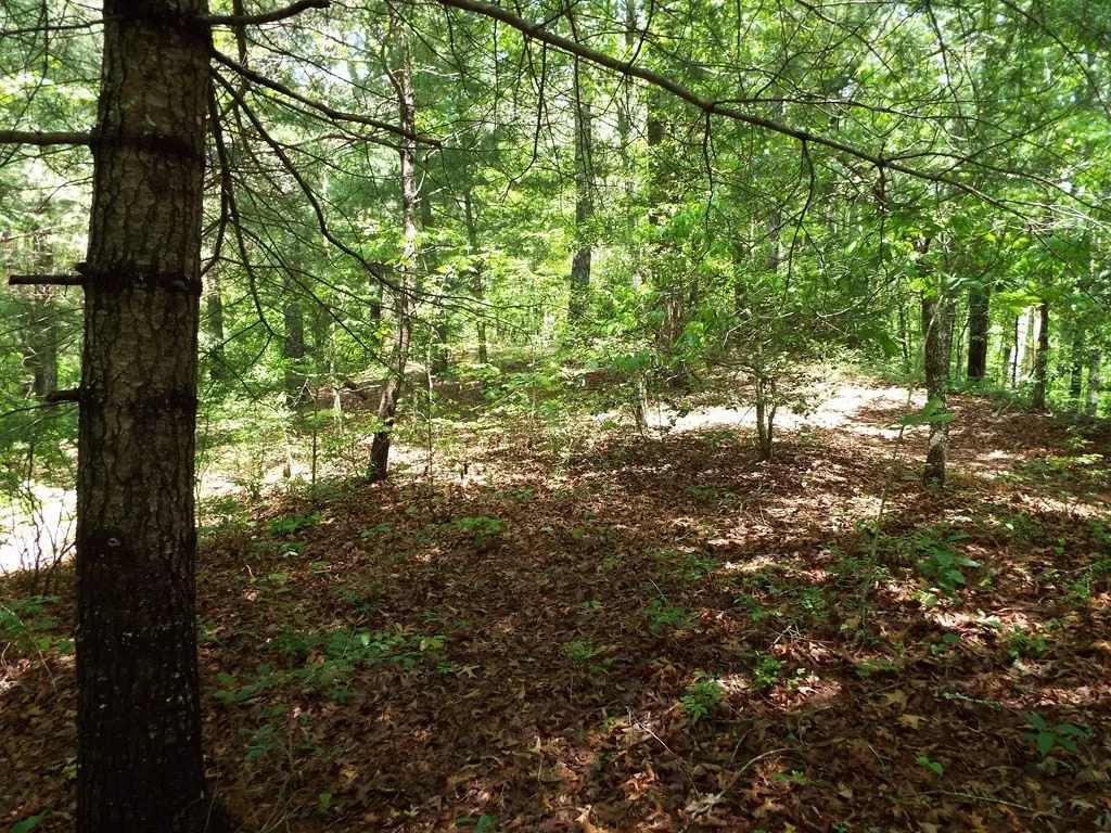 Picture 21