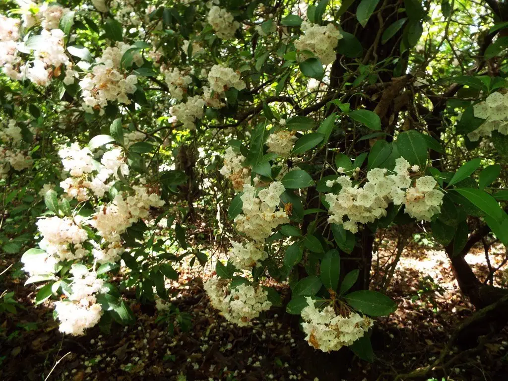 Picture 37