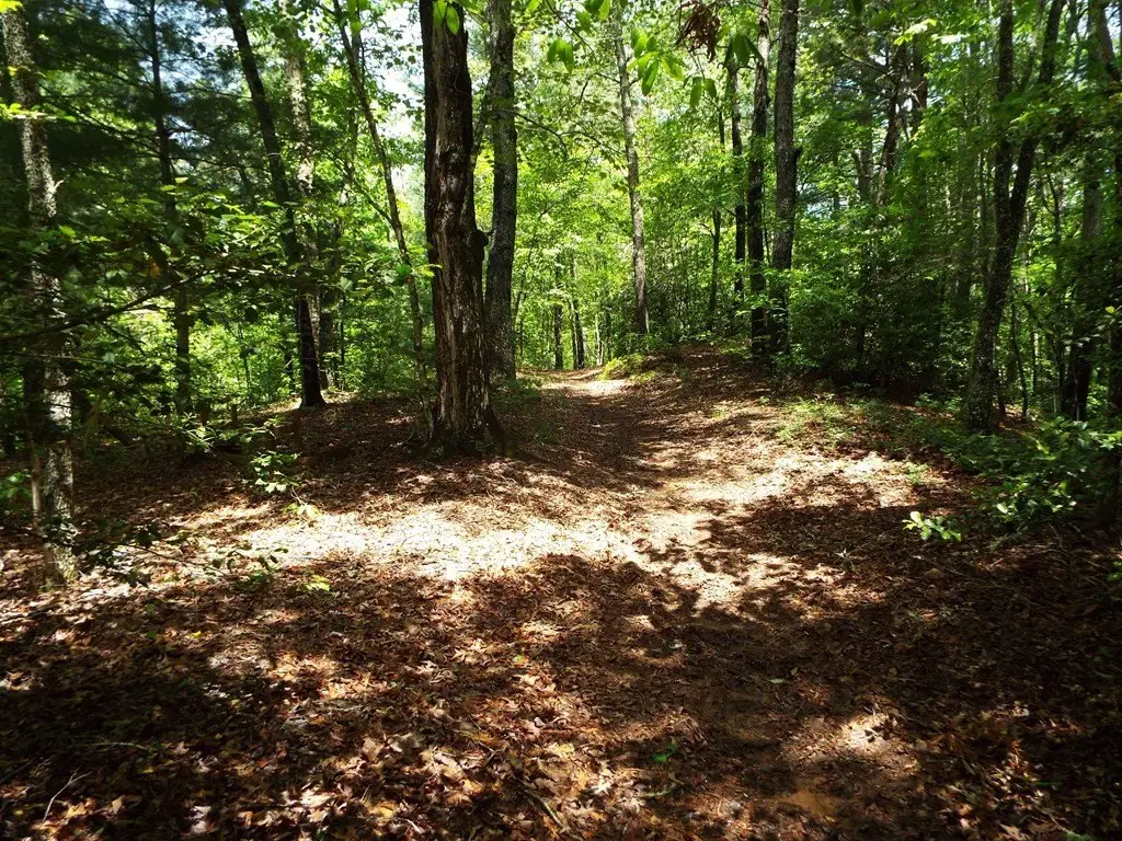 Picture 22