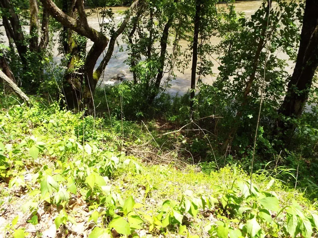 Picture 14