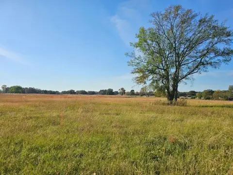 Unrestricted Land in Mount Pleasant