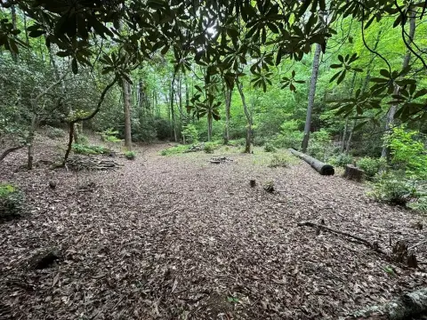 Land Near Pisgah National Forest