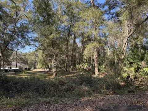 Vacant Lot Near Ocala Forest