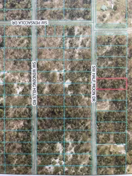 Wooded Lot in Rainbow Lakes