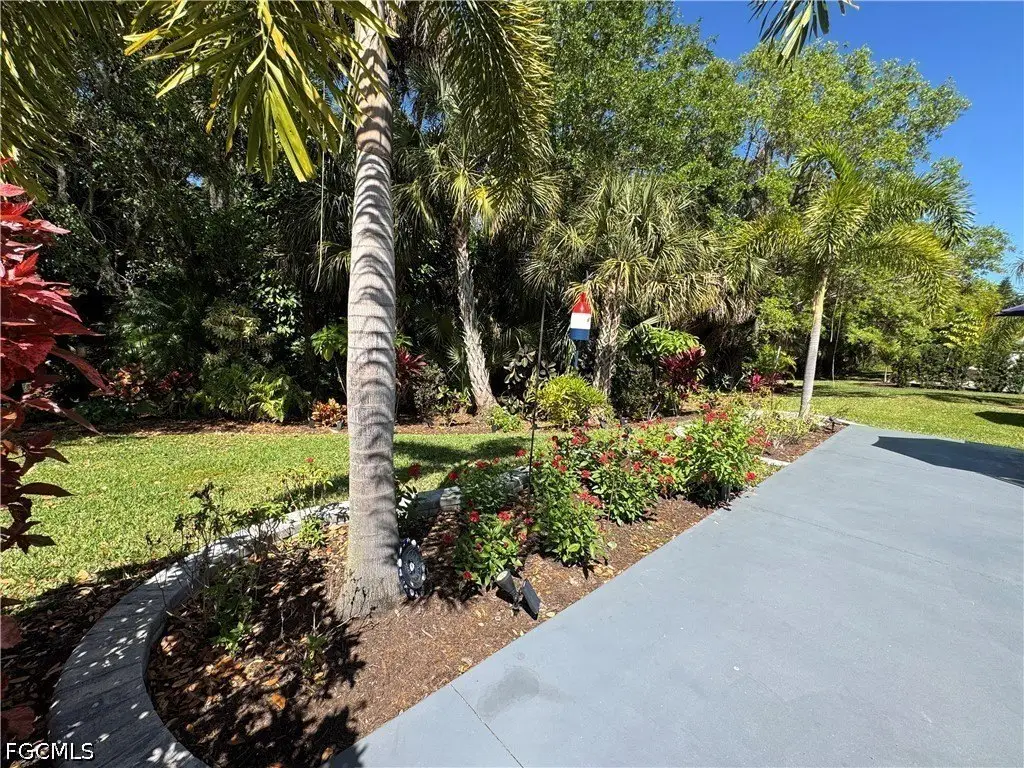 Picture 21
