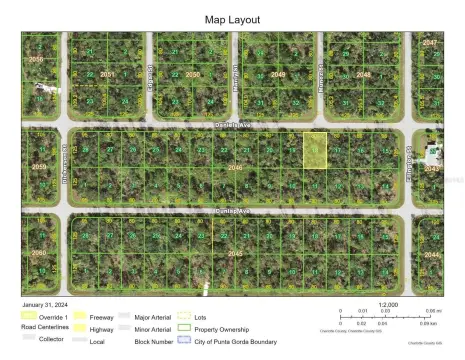 Residential Lot in Port Charlotte