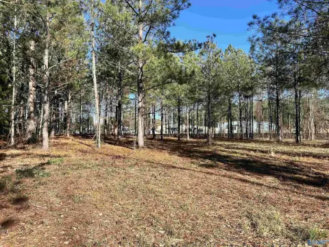 Commercial Land on Highway 9