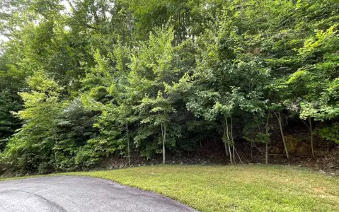 Wooded Lot with Mountain Views