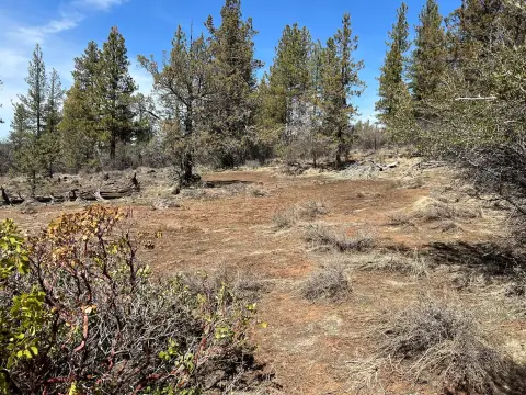 Bonanza, OR Residential Lots