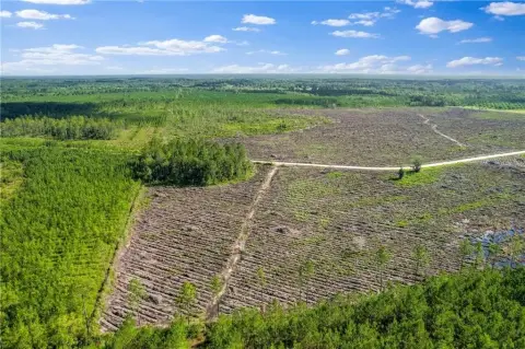 Odum, GA Farm/Timber Retreat