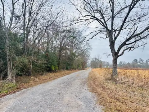 Poplarville Vacant Residential Land
