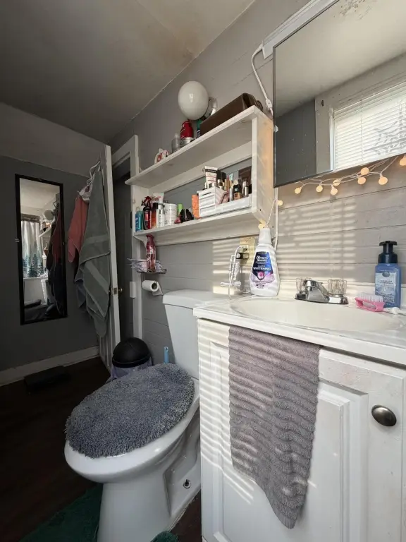 Picture 15
