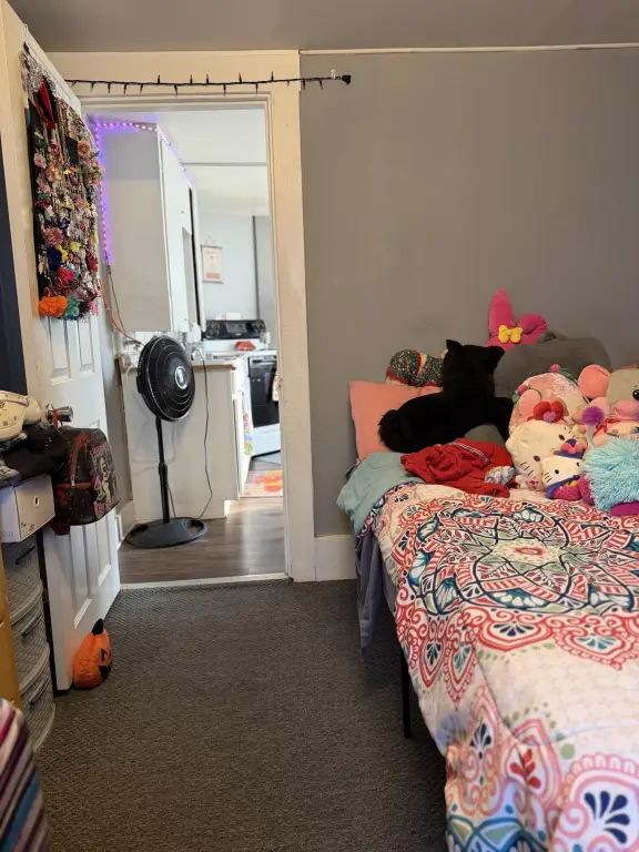 Picture 11