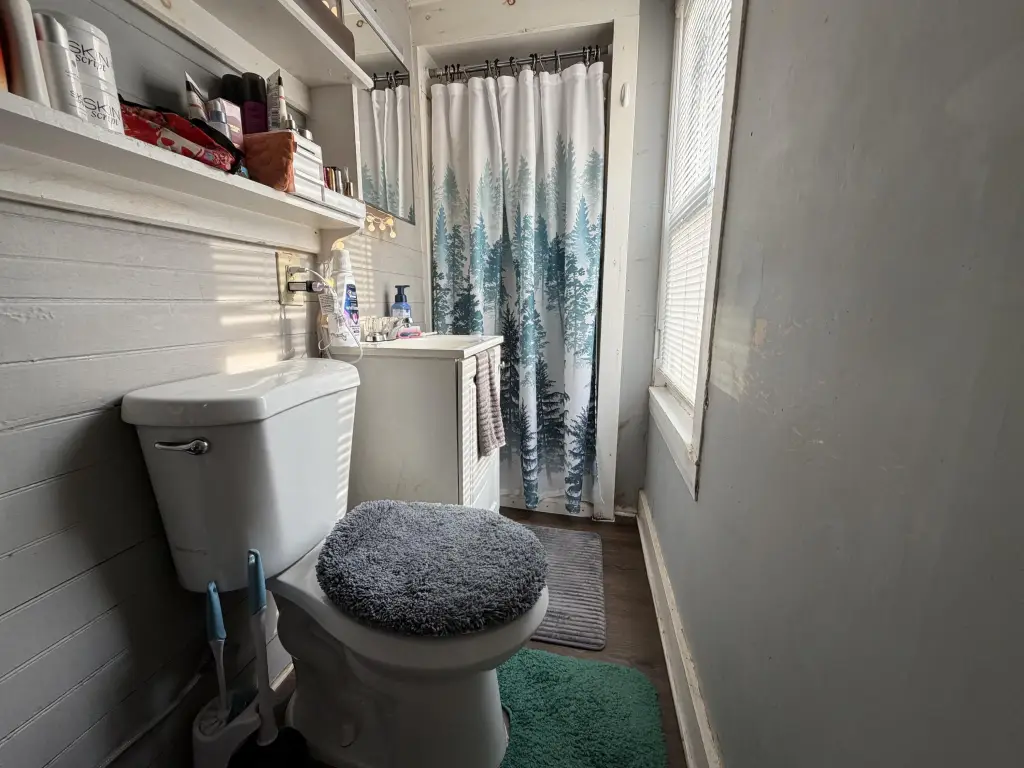 Picture 14